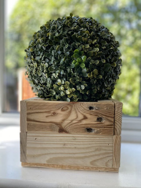 Square Indoor Planters X-Small 20cm x 20cm - 2 Pack