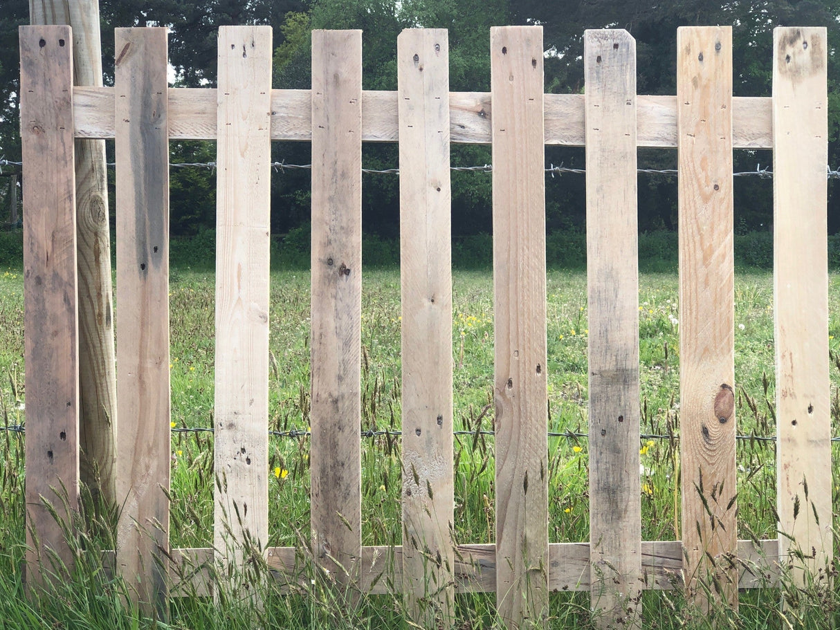 Flat Top 5ft Wide x 2ft High Eco Picket Fence Panels - Natural Wood
